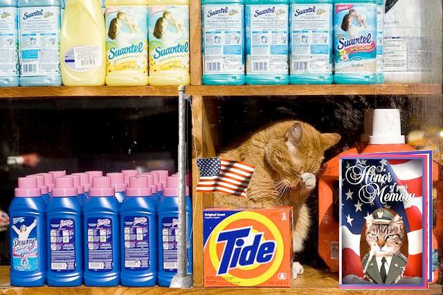 War Bodega Cats: Slate has already given us a faux-history of feline fighters but they left out a highly trained subset of the cat family: The Bodega Cat. These guys are already trained to protect our foodstuffsâso why not send them out to protect our food stuffs abroad? Especially since that war on string is turning into an increasingly un-winnable quagmire.
